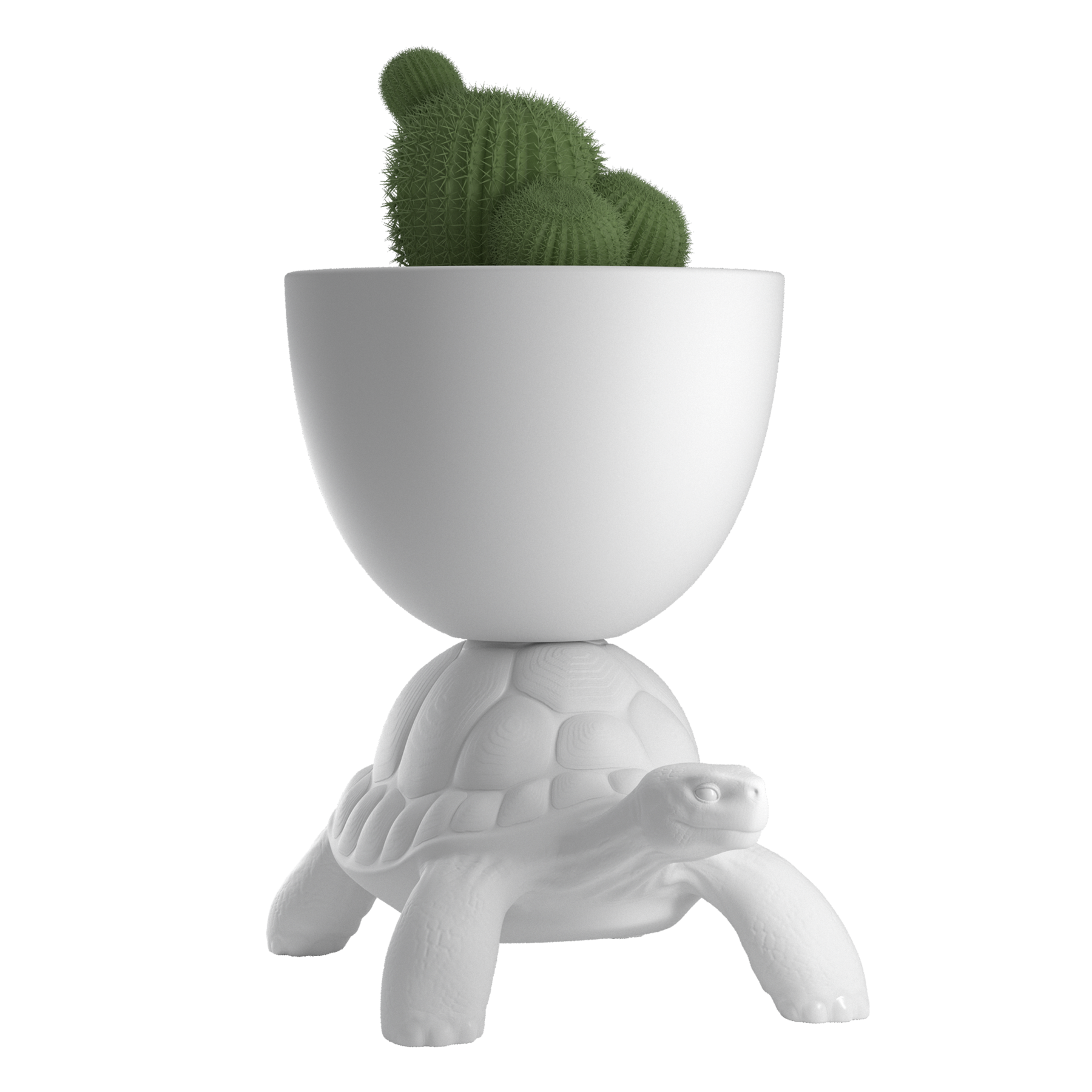 TURTLE CARRY planter - champagne cooler