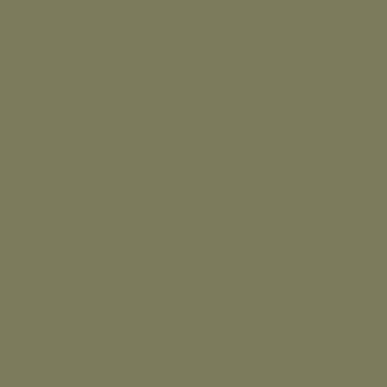 Lacquer RAL 110 40 20 antique green
